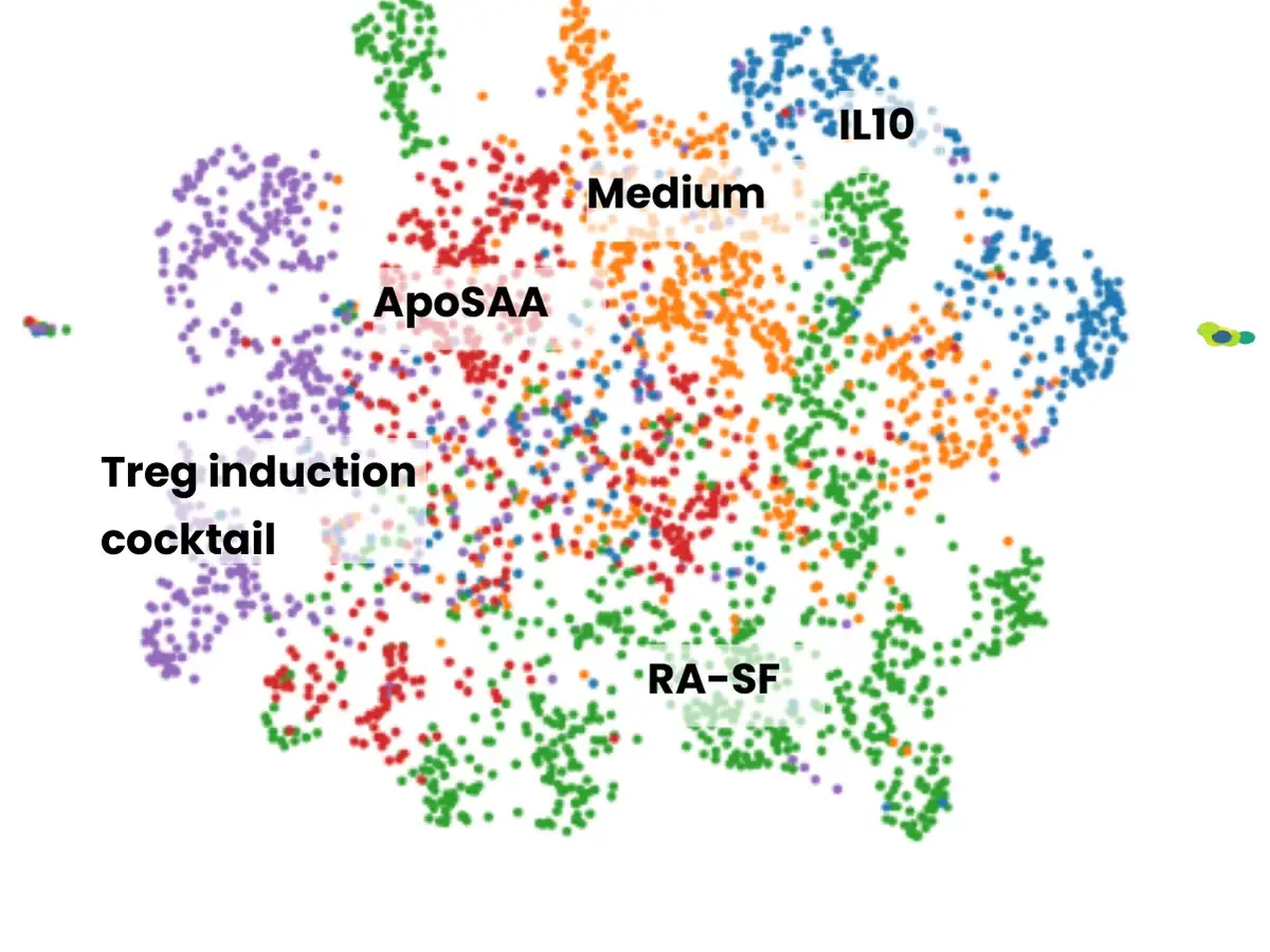 Single-cell map of conditions, coloured by disease background